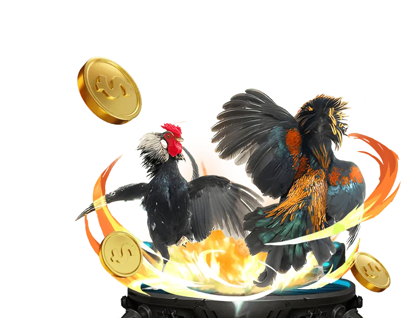 Tổng quan nền tảng M88